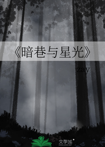 《暗巷与星光
