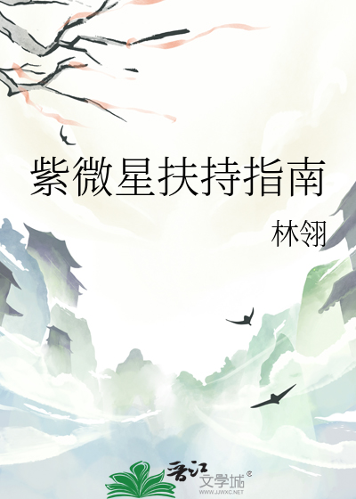 紫微星扶持指南
