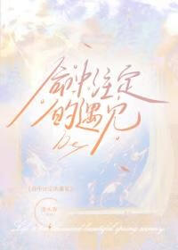 命中注定的遇见