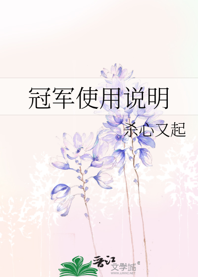 冠军使用说明